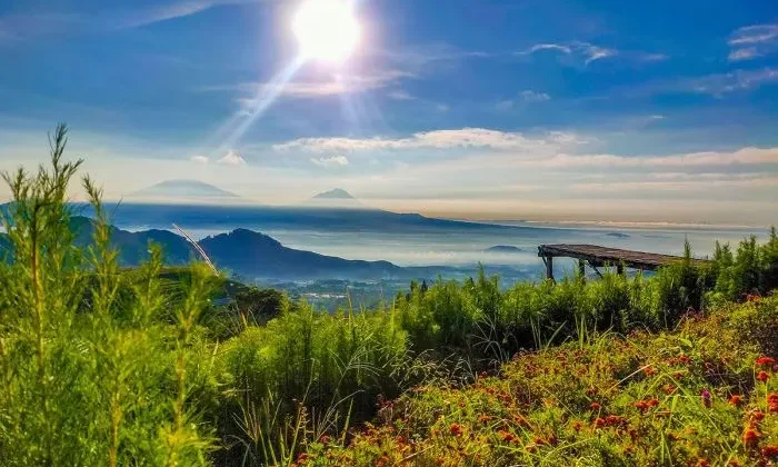 10 Tourist Destinations in Magelang That Combine Captivating Natural Scenery and Rich Historical Stories